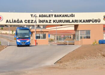 30 salên xwe tije kir lê dîsa nehat berdan