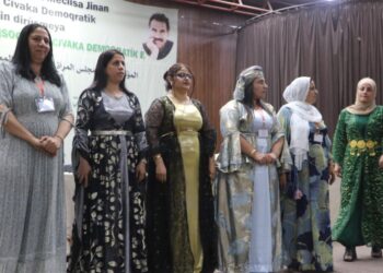 Berdevk û endamên meclisa jinan ên TEV-DEMê diyar bûn