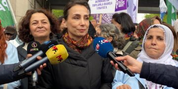 Hatîmogullari: Do kedkarî meseleyê kurdî çareser bikê