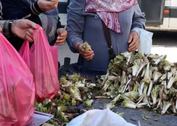 Amed ra kereng Bedlesî ra yeno