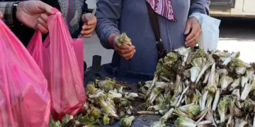 Amed ra kereng Bedlesî ra yeno