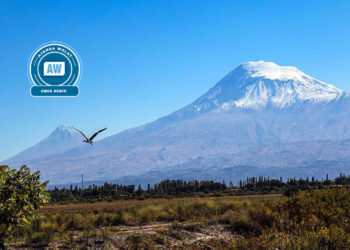 “Quntar” biyo “Komutan”!