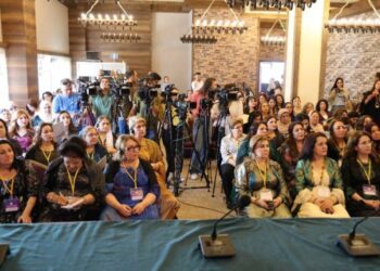 Tirkîya nêverda 3 cinî Başûrê Kurdîstanî ra beşdarê konferansê Amedî bibê