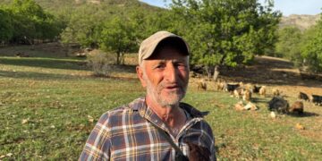 ‘Naye ra di reyî yo ke 38 yeno, ma qir keno’