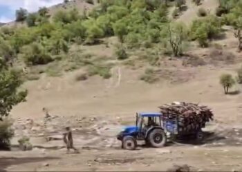 Li aliyekî daran dibirin, li aliyê din herêmê qedexe dikin