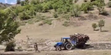 Li aliyekî daran dibirin, li aliyê din herêmê qedexe dikin