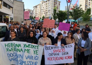 Li Şirnexê ji bo xwezayê meşiyan: Aştî ji Cûdî û Gabar destpê dike