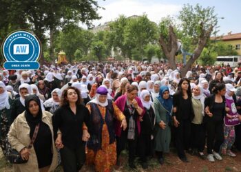 ‘Em dixwazin demildest aştî pêk were’