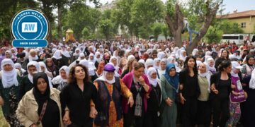 ‘Em dixwazin demildest aştî pêk were’