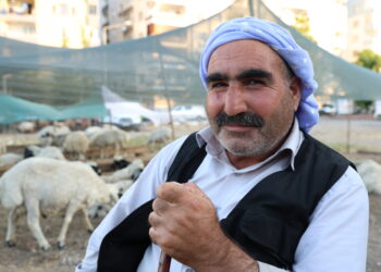 Qurbanî ji kok ve zerar e