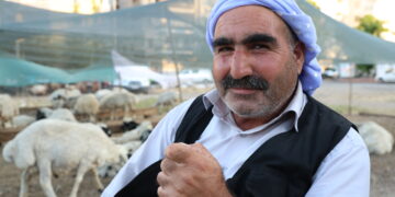 Qurbanî ji kok ve zerar e
