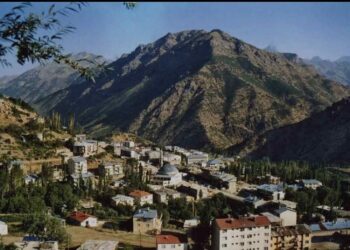 Li Şemzînanê erdhej çêbû