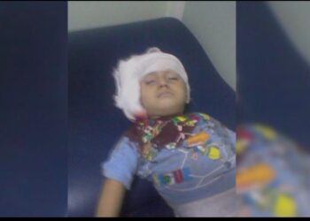 Doza kuştina Ûytûn ê 18 mehî sibe ye