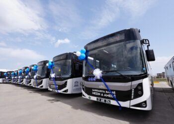 Roşanê Qurbanî de komres do bêpere bibo