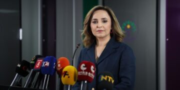 Ayşegul Dogan: Ma amadekarîyan kenê ke şêrê Îmrali