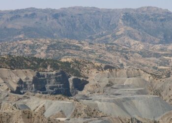 ‘Behsê aştî kenê la ma hema nêeşkenê şêrê dewa xo’