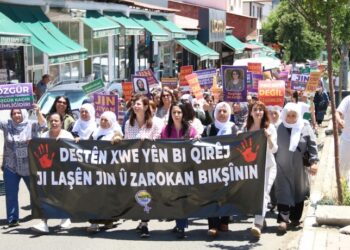 Licê de vera merganê cinî û gedeyan rayîrşîyayîş ame kerdene