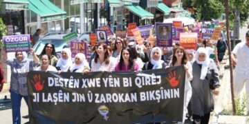 Licê de vera merganê cinî û gedeyan rayîrşîyayîş ame kerdene