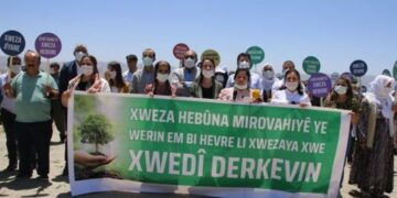 Têkiliya awankerdişê cuyêka birûmet û ekolojîk