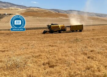 Li Farqînê çinîna ceh û nîskan dest pê kir