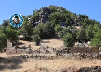 Alkan: Agêrayîşê dewan zaf bi qîymet o