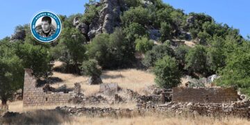 Alkan: Agêrayîşê dewan zaf bi qîymet o