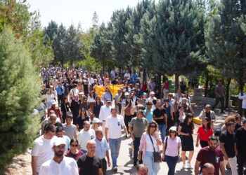 Eyşe Şane 29 serran ra dima Amed de ameye nimitene