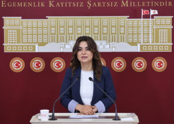 Koçyîgît: Divê li Meclisê demildest komîsyon bê avakirin