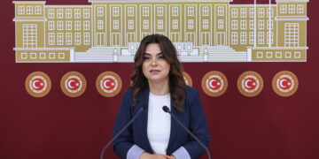 Koçyîgît: Divê li Meclisê demildest komîsyon bê avakirin