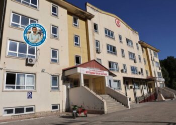 Navçeyeke bênexweşxane û bêbijîjk: Elkê