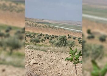 Leşkeran cotkarên Kobanê gulebaran kirin