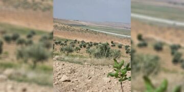 Leşkeran cotkarên Kobanê gulebaran kirin