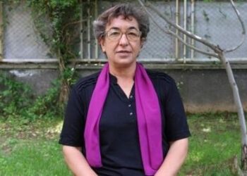 Ayşe Gokkan: Heke Abdullah Ocalan azad bibe wê pêvajo bi ser bikeve