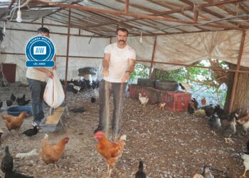 ‘Wa dewlete mûdaxaleyê ma nêkero, bes o’