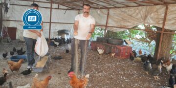 ‘Wa dewlete mûdaxaleyê ma nêkero, bes o’