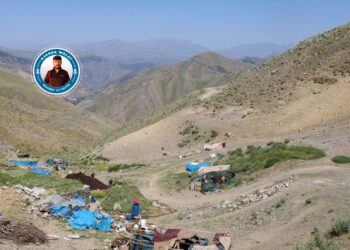 Kelaya Memî de kultur û cuya zozanî dewam kena