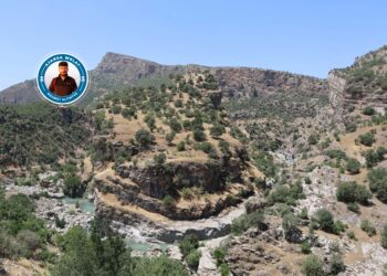 Çemê Hêzil ziwa dibe