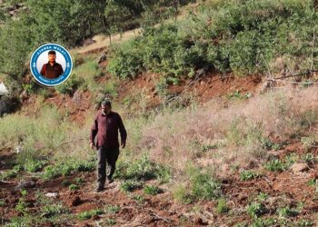 Divê şaredarî ji bo çandiniyê polîtikayan pêş bixin