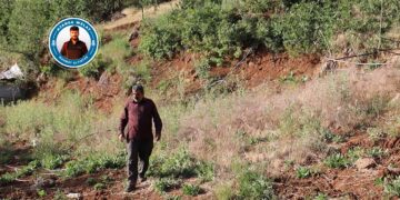 Divê şaredarî ji bo çandiniyê polîtikayan pêş bixin