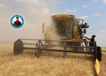 Lêçûn biha dibe, hilberîn jî erzan dibe!