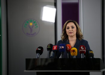 Dogan: Em amadekariyan dikin ku biçin serdana birêz Ocalan