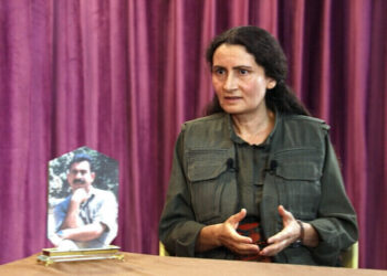 Besê Hozat: Gerek dewleta tirke gamanê pêtan bierza