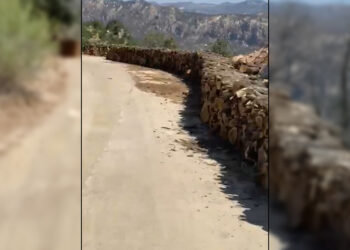 Li Çiyayê Gabarê dîmenê nû yê birîna daran