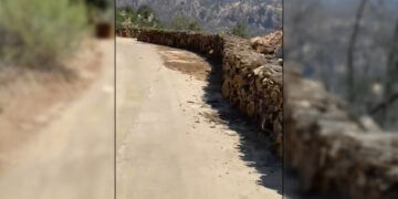 Li Çiyayê Gabarê dîmenê nû yê birîna daran