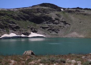 Cenet ra ver bi talanî: Hîkayeya gole