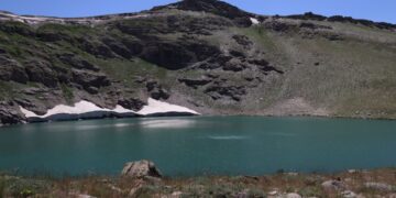 Cenet ra ver bi talanî: Hîkayeya gole