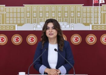 Koçyîgît: Wa Meclîs de ca de komîsyon bêro awankerdene