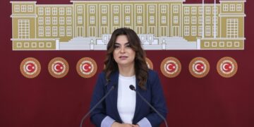 Koçyîgît: Wa Meclîs de ca de komîsyon bêro awankerdene