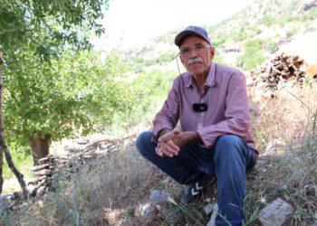 ‘Kurdîstan bi çar parçe, dewa ma bîye des parçe’