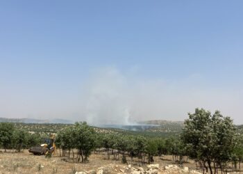 Li gundên Şemrexê agir bi daristanê ket